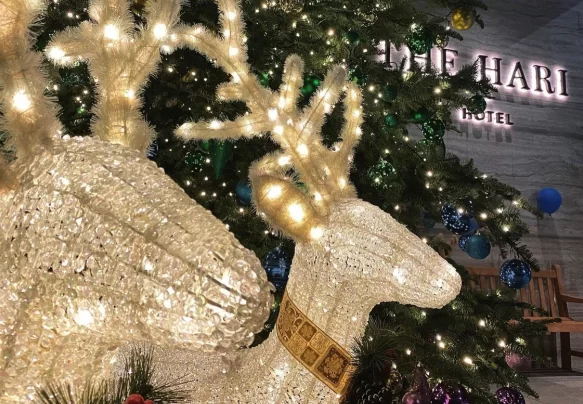 Screenshot 2023-10-25 174506