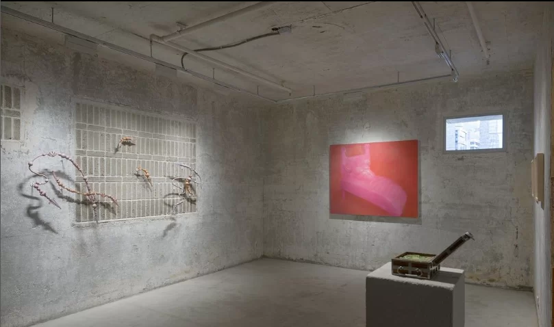 Screenshot 2024-02-05 115115