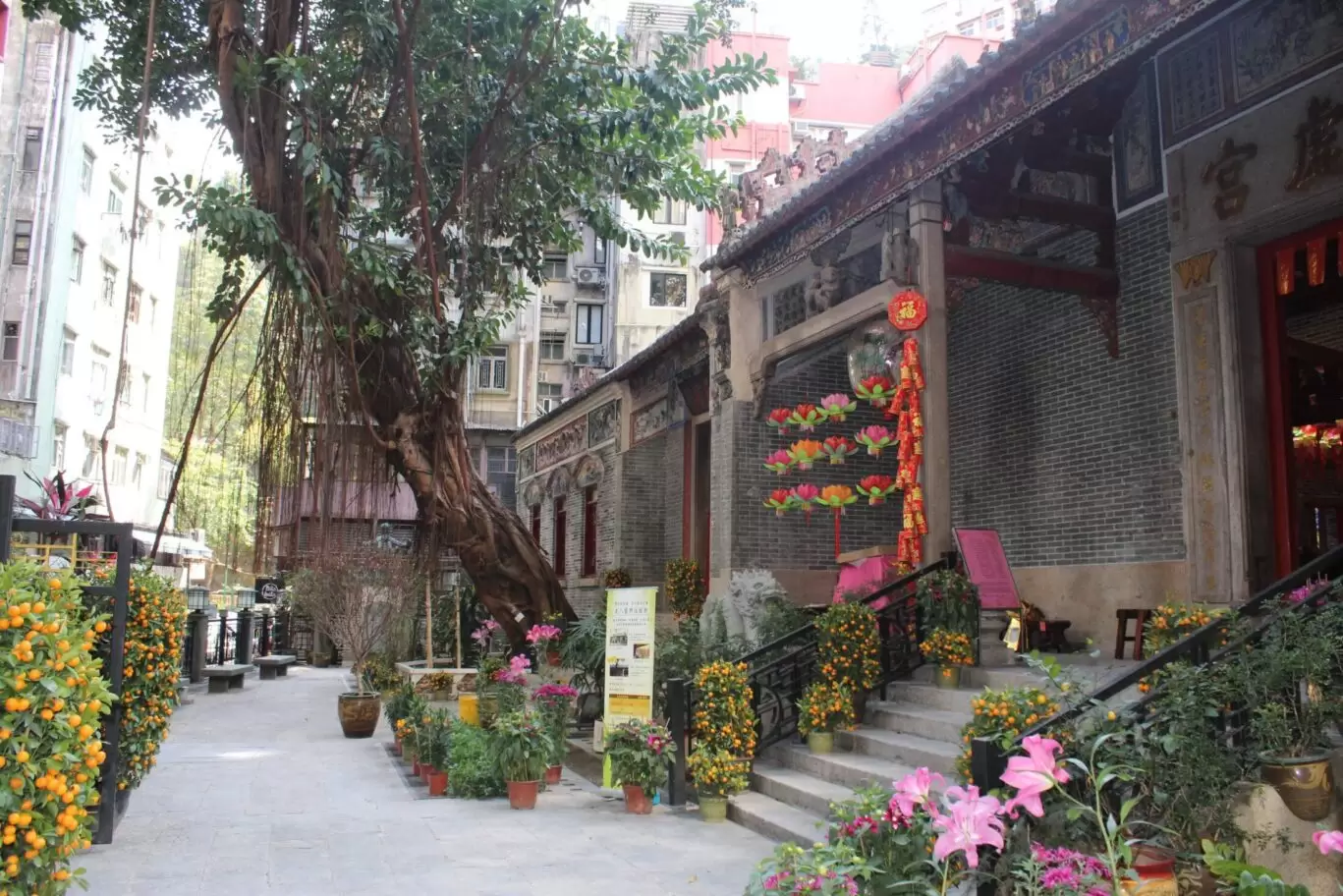 Wan Chai Pak Tai Temple
