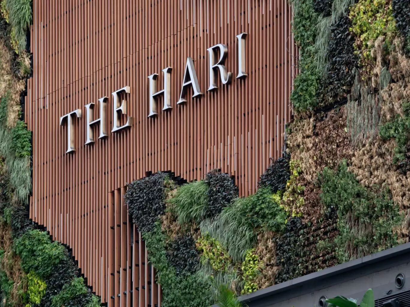 202103_THEHARI_KRISPROVOOST_HQ-3-min