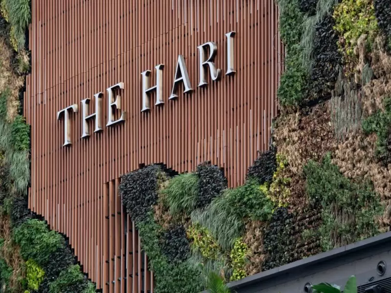 202103_THEHARI_KRISPROVOOST_HQ-3-min