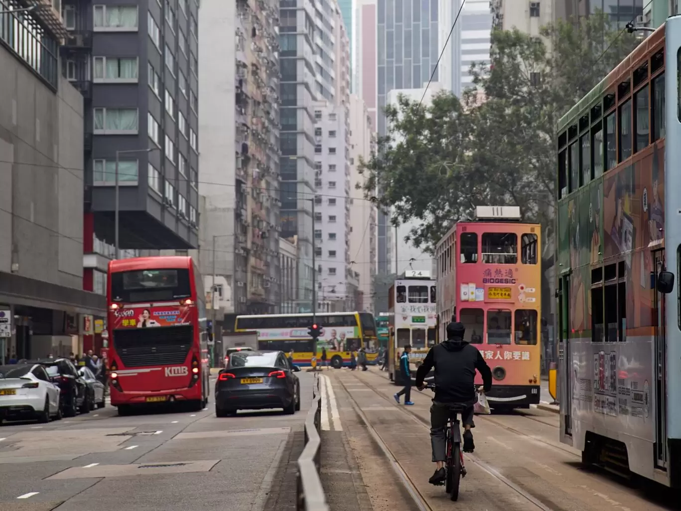 The Hari_Wan Chai Neighbourhood Guide