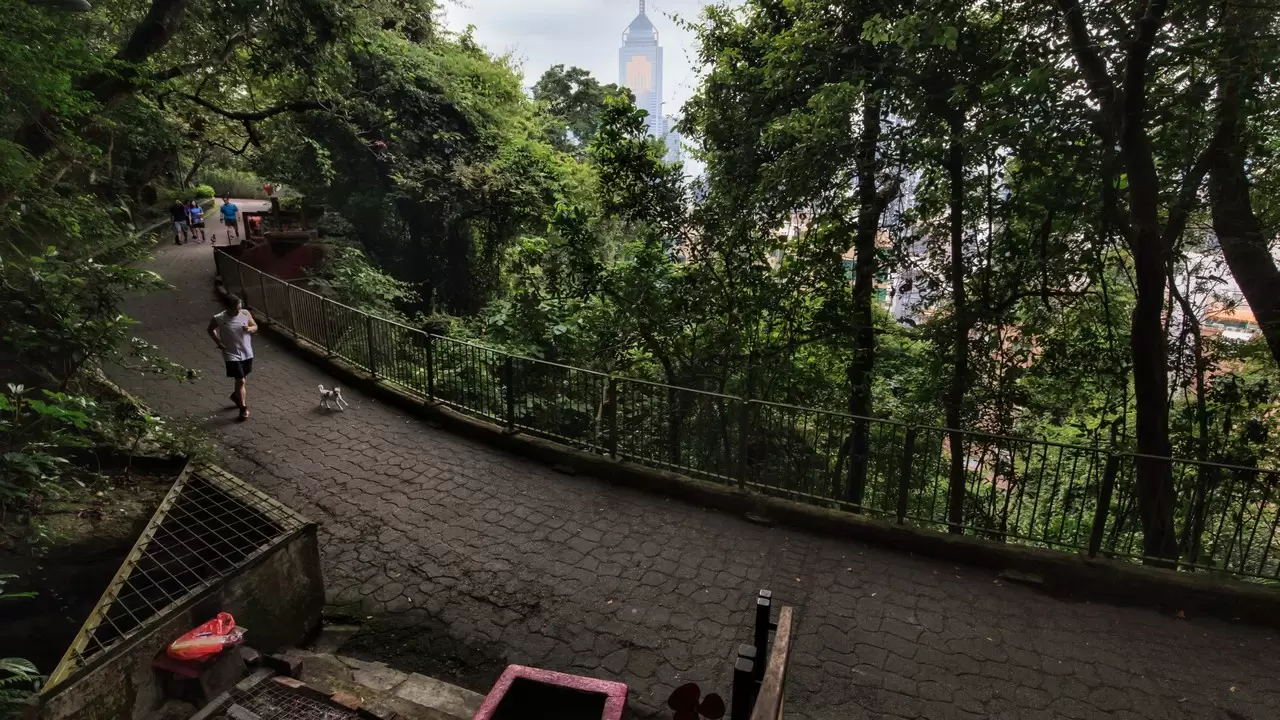 wanchai-gap-banner-16-91