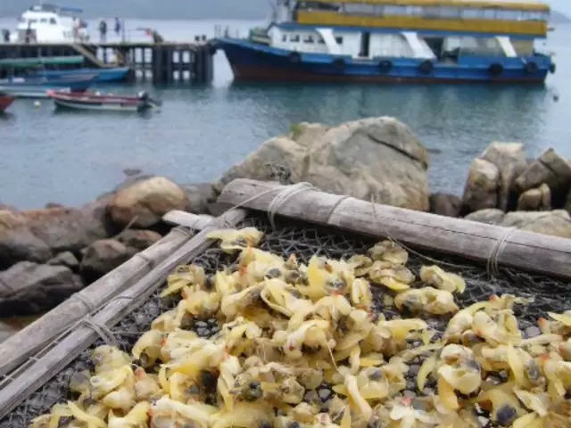 塔門海傍街 – 香港旅游發展局