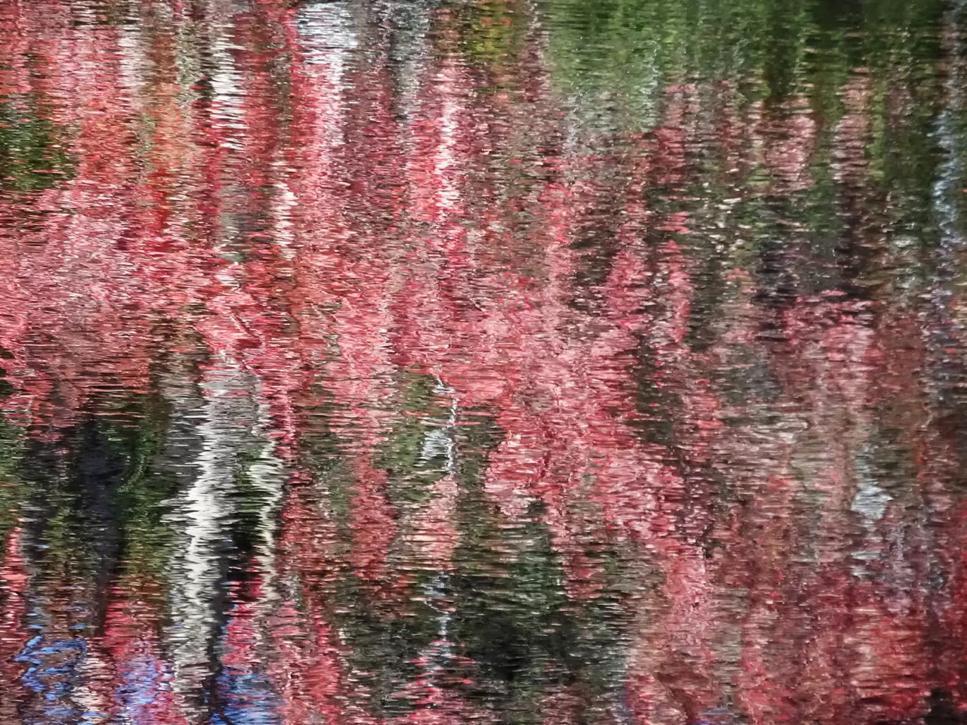 Chou – Red, Green & Blue #1 – 2016