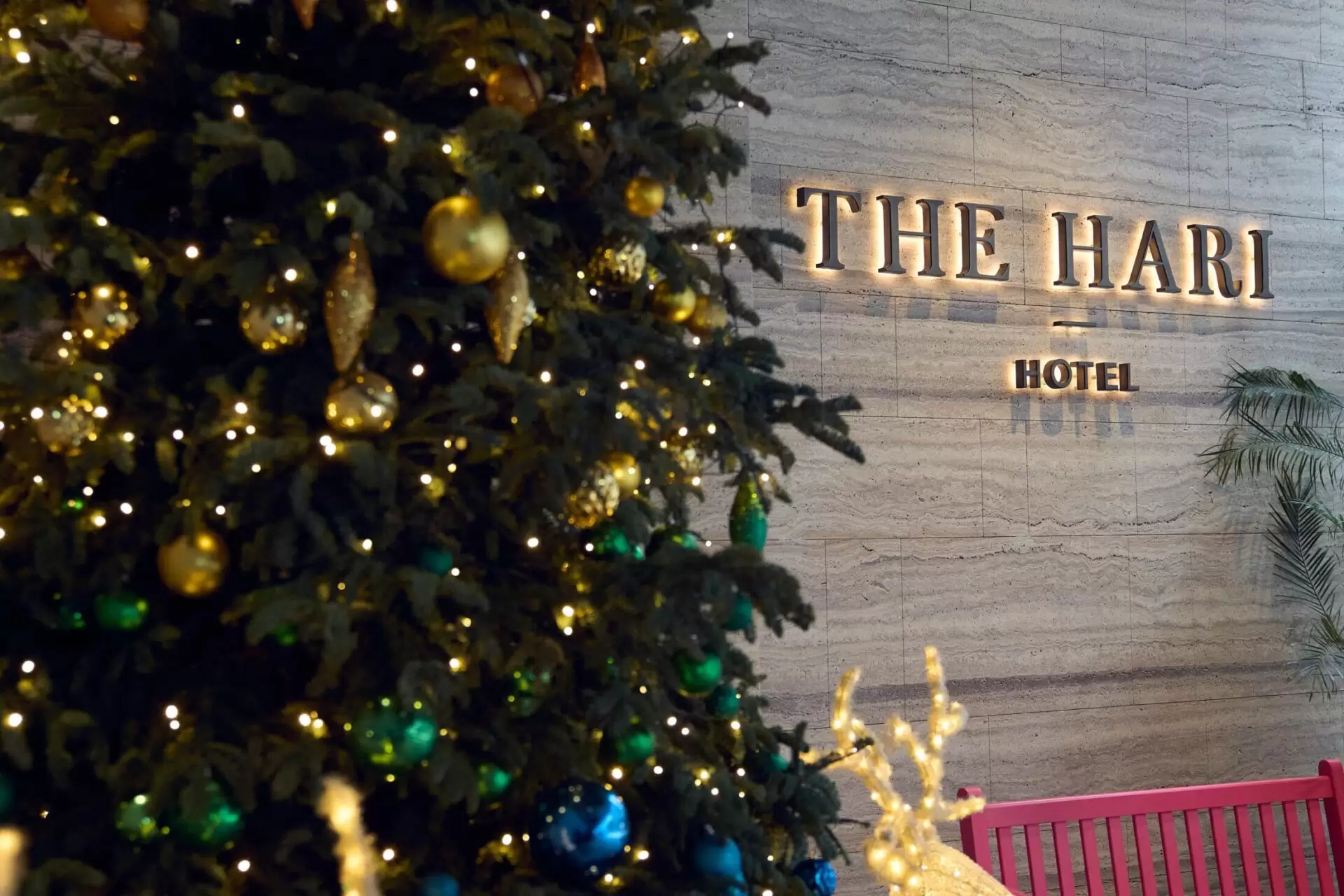 Christmas-2312-109-min