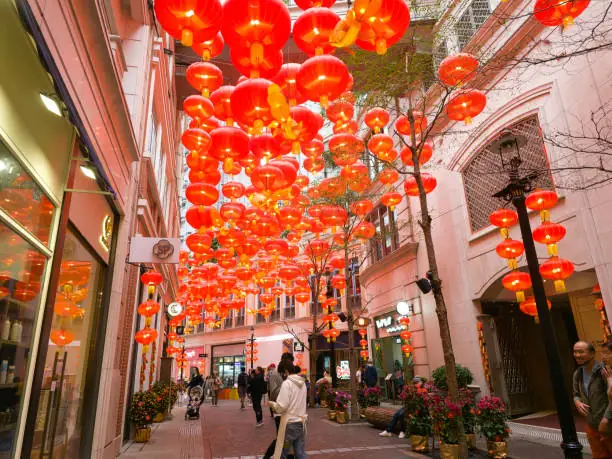 istockphoto-2050652504-612×612