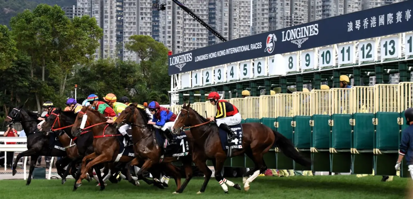 HKIR_20231210_Hong_Kong_Cup_(racing)