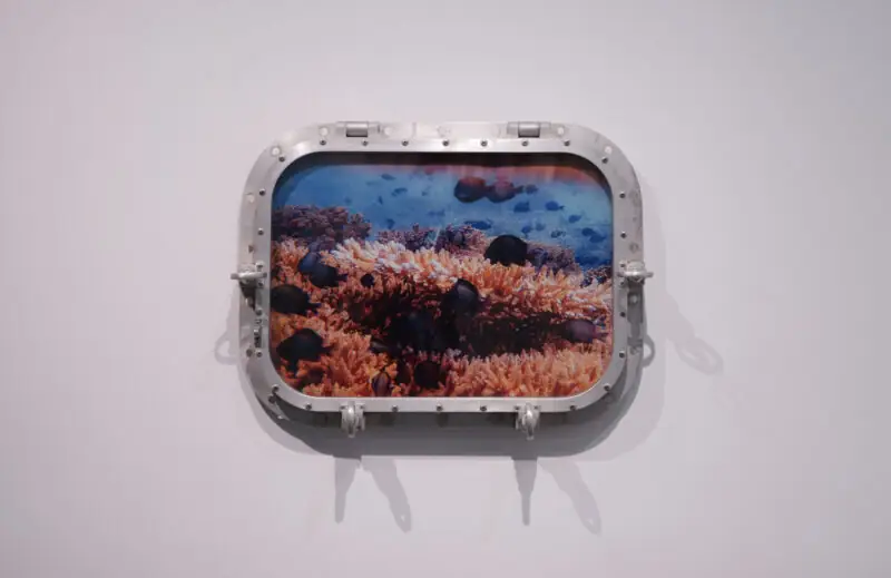 The Lightness of Water_2