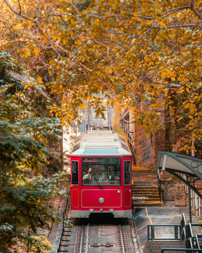 chapman-chow-G1vXzL4n5YI-unsplash