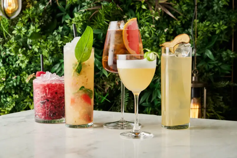 The_Hari_Non_Alcoholic_Cocktails
