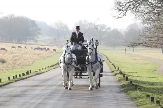 Wintershire carriage rides