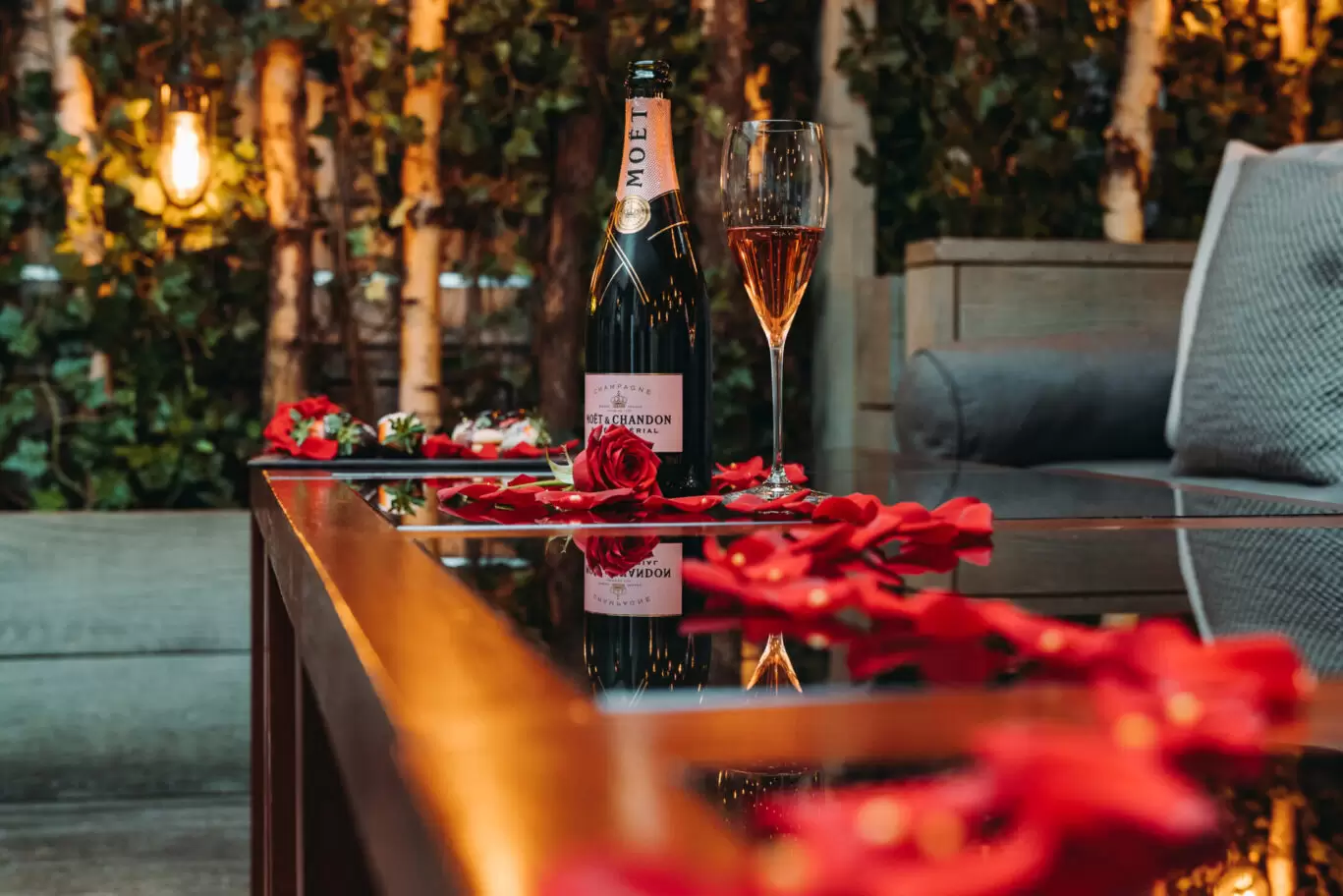 Hari-Promo@jason_purple-6