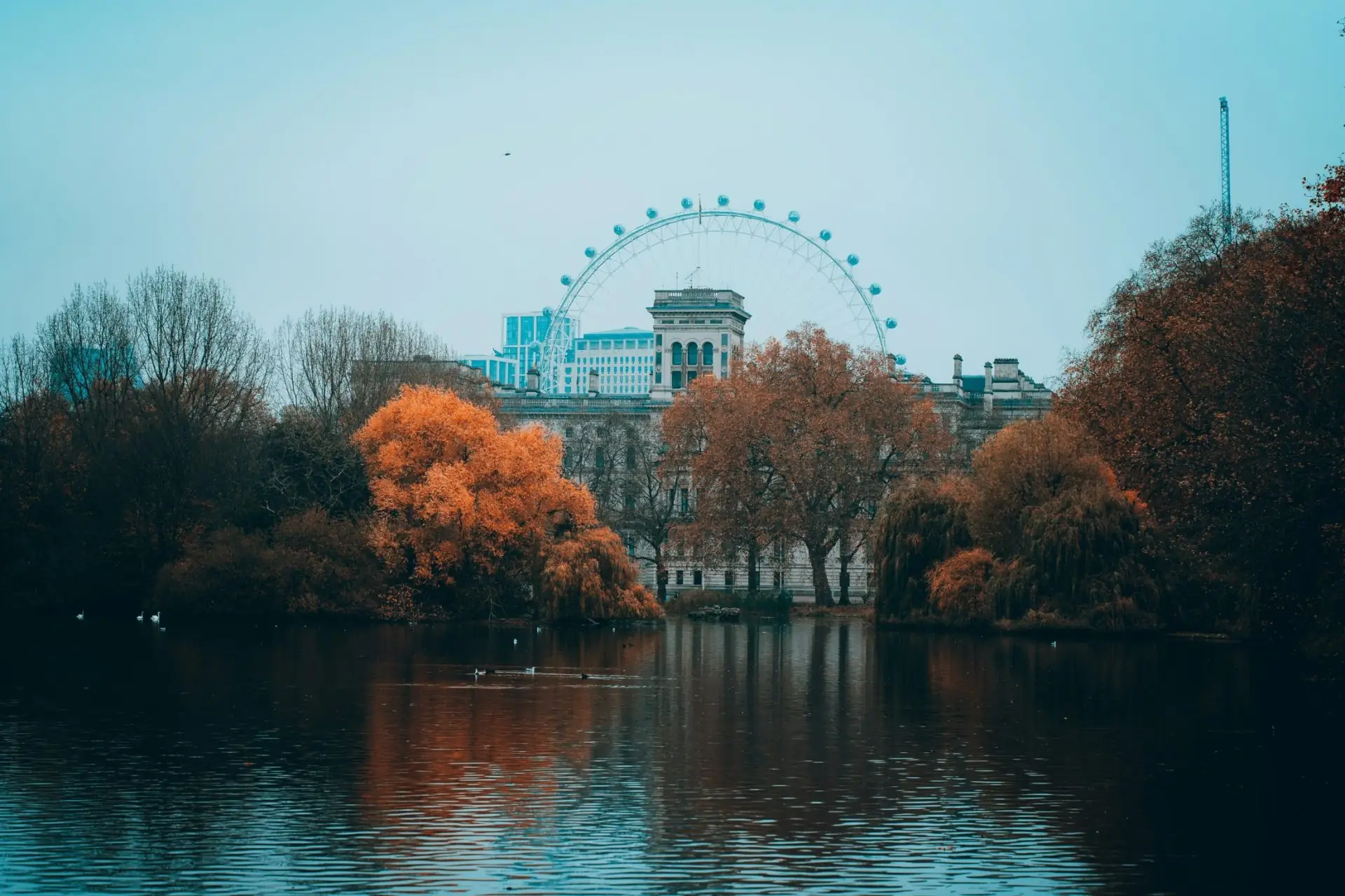 szymon-shields-VGUGd0cNAoo-unsplash
