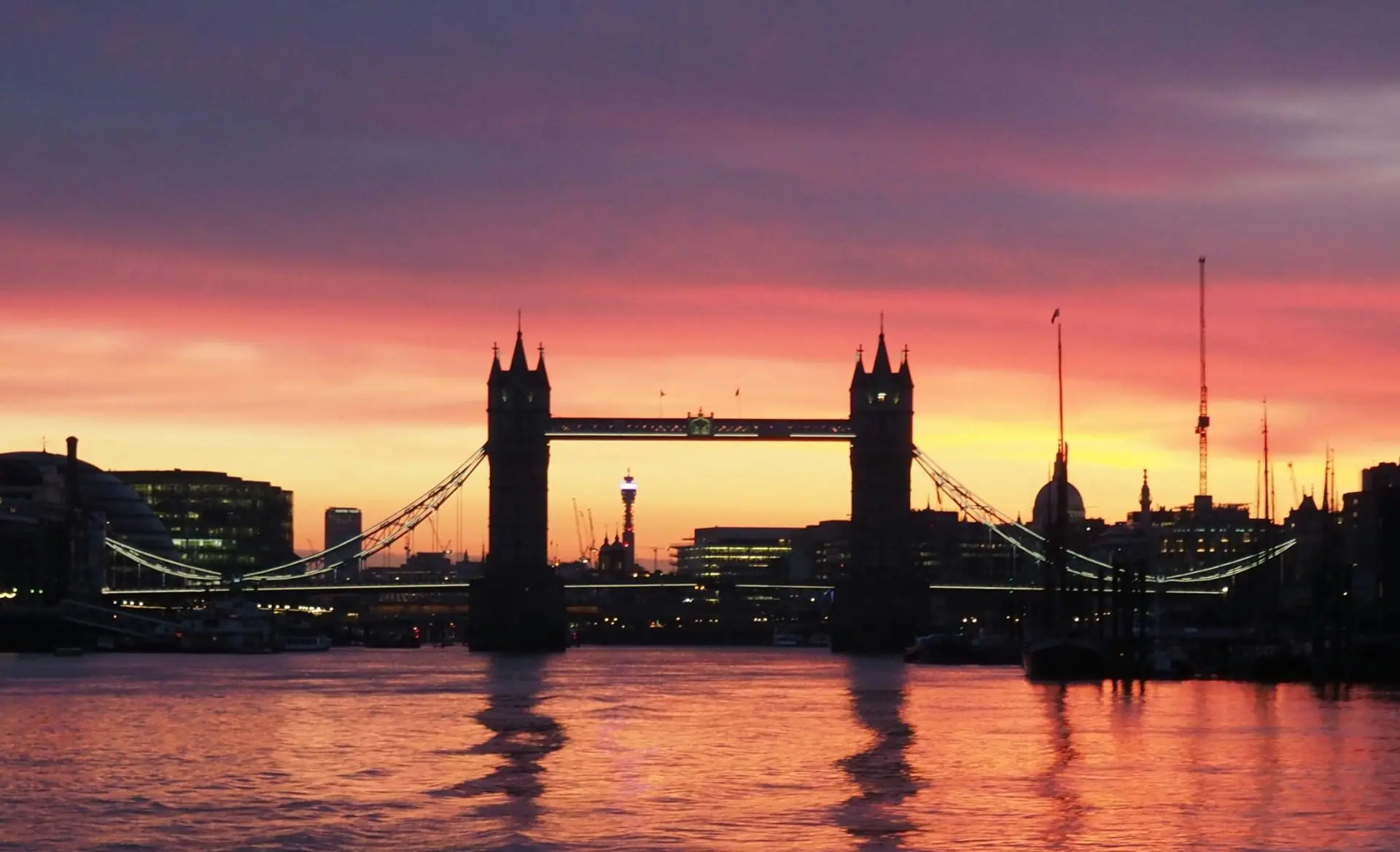 marcus-lenk-vlQYKcmfcYQ-unsplash