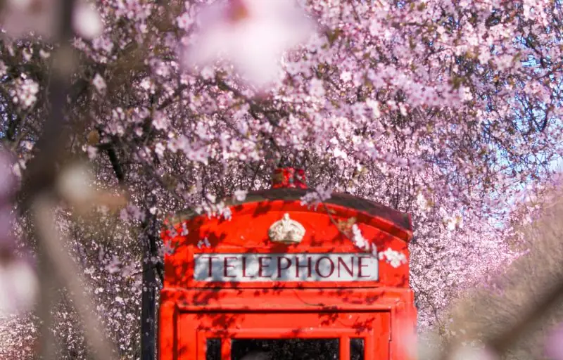 yuya-yoshioka-YDXGCjnIbMk-unsplash