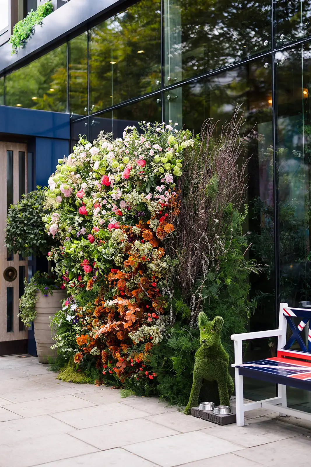 Flower display shoot