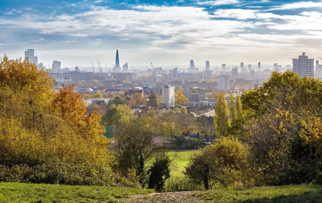 Hampstead Heath Viewpoint