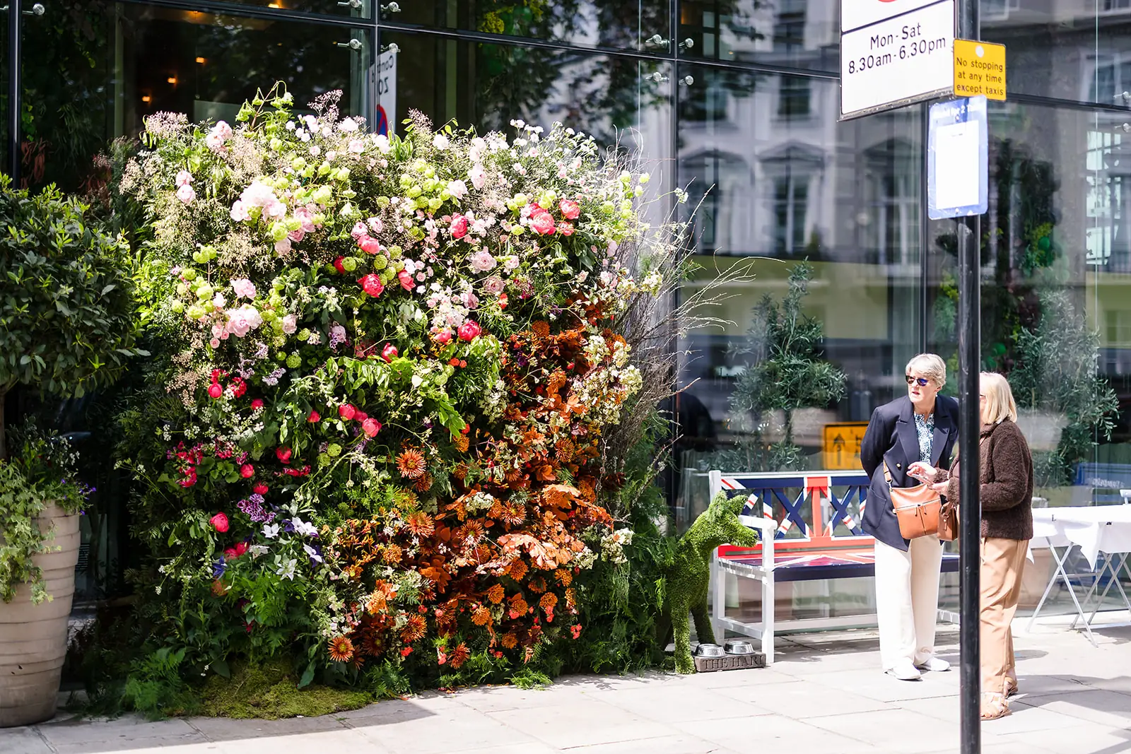 Flower display shoot