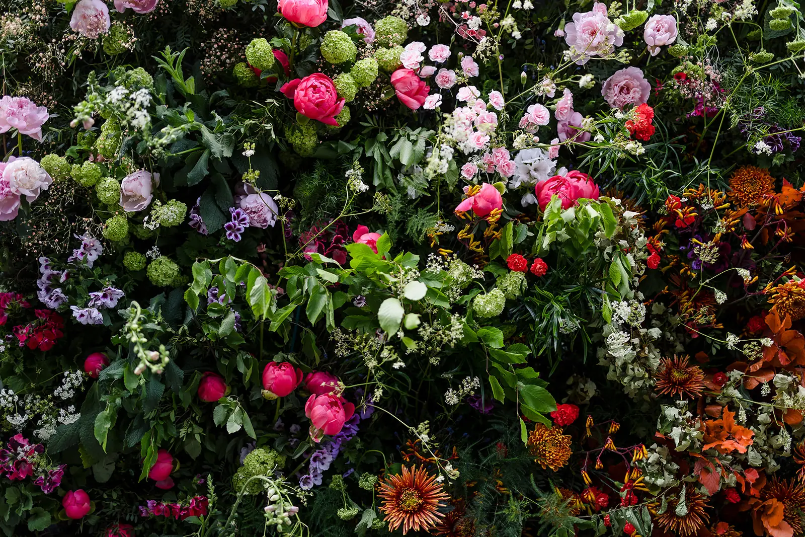 Flower display shoot